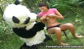 Panda šuká v zahradě mladé mládě